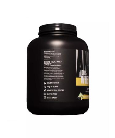Animal Serum protein 100% Whey isolate powder 1810 g - Buy Online on GoSupps.com