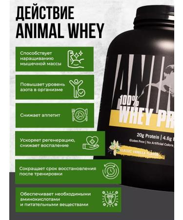 Animal Serum protein 100% Whey isolate powder 1810 g - Buy Online on GoSupps.com