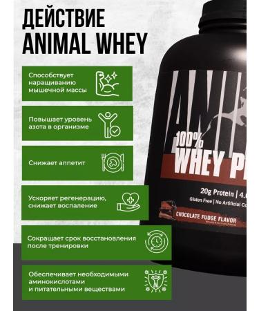 Animal Whey -isolated serum protein is Whey powder 1810 g 60 servings - Buy Online on GoSupps.com
