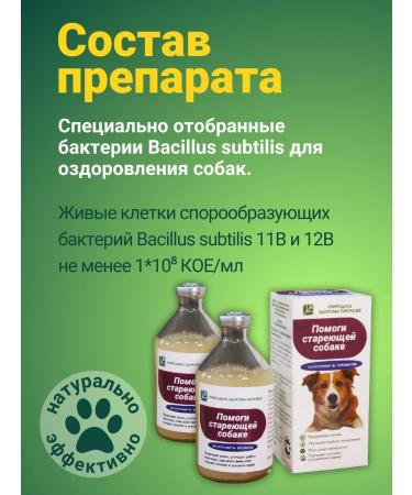 with a small shoe Vetosporin Probiotic help the aging dog 200 ml - Buy Online on GoSupps.com