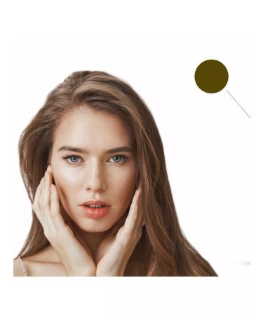 Face Company Pigment for eyebrow nuts 6 ml - Buy Online on GoSupps.com