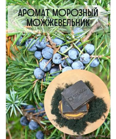 SHUGGE Shungite soap for men - Buy Online on GoSupps.com