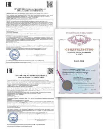 EMILI FLOR Shine tint for lips light brown - Buy Online on GoSupps.com