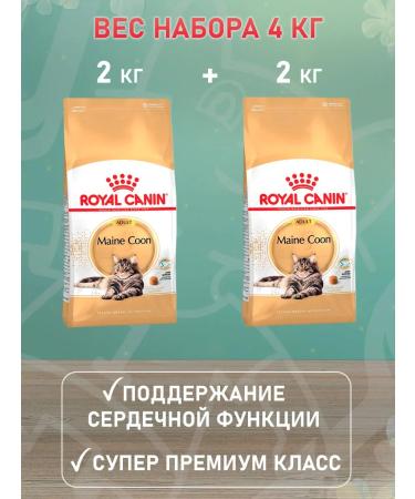 ROYAL CANIN Dry Main Coon Feed for cats Maine Kun 2 kg 2 pcs - Buy Online on GoSupps.com