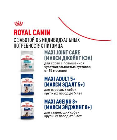 ROYAL CANIN Dry feed maxi adult for dogs of large rocks 3 kg 2 pcs - Buy Online on GoSupps.com
