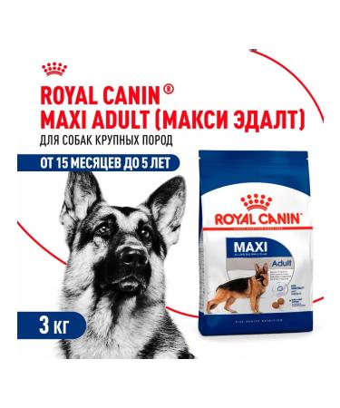 ROYAL CANIN Dry feed maxi adult for dogs of large rocks 3 kg 2 pcs - Buy Online on GoSupps.com