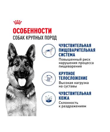 ROYAL CANIN Dry feed maxi adult for dogs of large rocks 3 kg 2 pcs - Buy Online on GoSupps.com