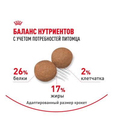 ROYAL CANIN Dry feed maxi adult for dogs of large rocks 3 kg 2 pcs - Buy Online on GoSupps.com