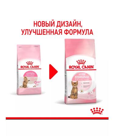 ROYAL CANIN Dry Kitten Sterilized feed sterilized kittens 2 kg 2pcs - Buy Online on GoSupps.com