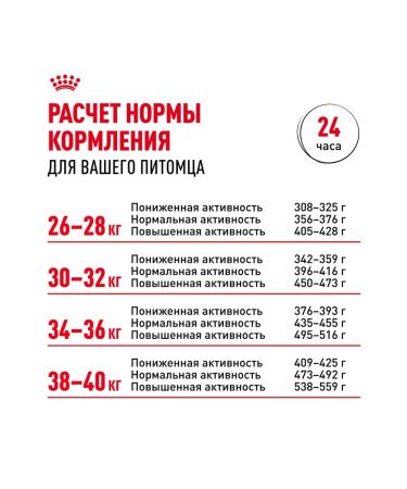 ROYAL CANIN Dry Labrador Retriever food for dogs Labrador 3 kg 2 pcs - Buy Online on GoSupps.com