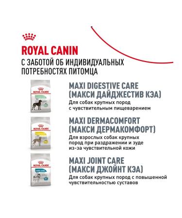 ROYAL CANIN Dry Labrador Retriever food for dogs Labrador 3 kg 2 pcs - Buy Online on GoSupps.com