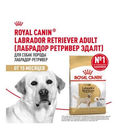 ROYAL CANIN Dry Labrador Retriever food for dogs Labrador 3 kg 2 pcs - Buy Online on GoSupps.com