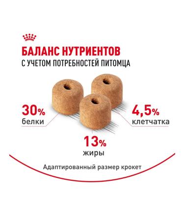 ROYAL CANIN Dry Labrador Retriever food for dogs Labrador 3 kg 2 pcs - Buy Online on GoSupps.com