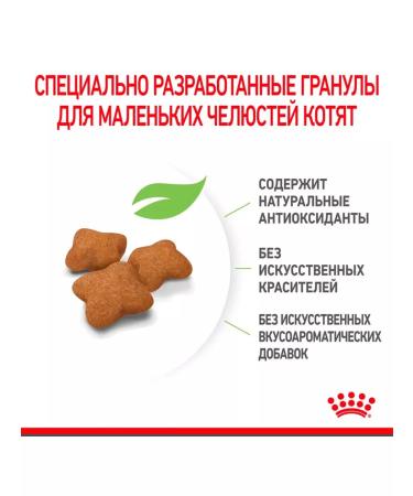 ROYAL CANIN Dry Kitten Sterilized feed sterilized kittens 0.4 kg 2pcs - Buy Online on GoSupps.com