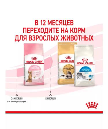 ROYAL CANIN Dry Kitten Sterilized feed sterilized kittens 0.4 kg 2pcs - Buy Online on GoSupps.com