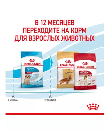 ROYAL CANIN Dry Medium Puppy for Medium Builds 3 kg 2 pcs - Buy Online on GoSupps.com