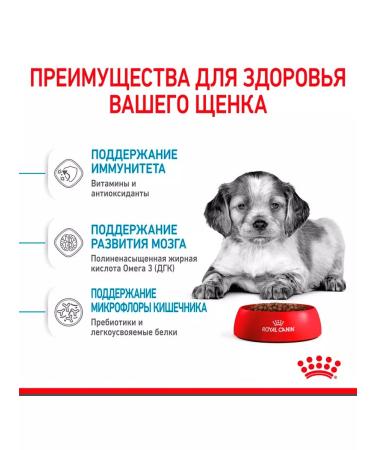 ROYAL CANIN Dry Medium Puppy for Medium Builds 3 kg 2 pcs - Buy Online on GoSupps.com