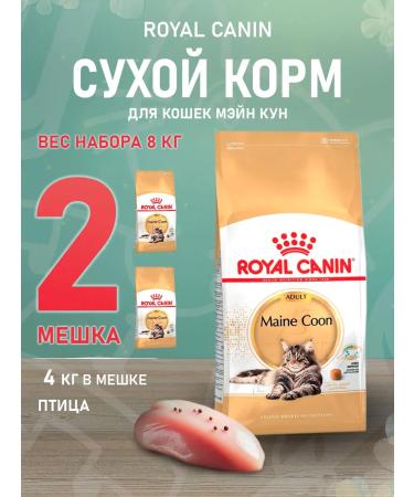 ROYAL CANIN Dry Main Coon Feed Main Kun 4 kg 2 pcs