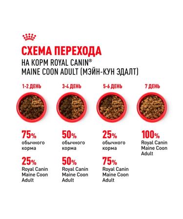 ROYAL CANIN Dry Main Coon Feed Main Kun 4 kg 2 pcs - Buy Online on GoSupps.com