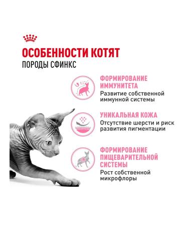 ROYAL CANIN SPhynx dry food for kittens Sphinx 0.4 kg 4 pcs - Buy Online on GoSupps.com
