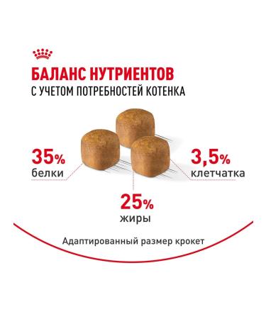 ROYAL CANIN SPhynx dry food for kittens Sphinx 0.4 kg 4 pcs - Buy Online on GoSupps.com