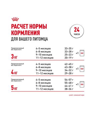 ROYAL CANIN SPhynx dry food for kittens Sphinx 0.4 kg 12 pcs - Buy Online on GoSupps.com