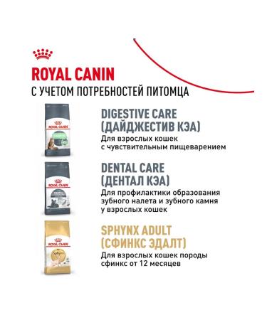 ROYAL CANIN SPhynx dry food for kittens Sphinx 0.4 kg 12 pcs - Buy Online on GoSupps.com