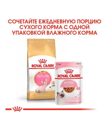 ROYAL CANIN SPhynx dry food for kittens Sphinx 0.4 kg 12 pcs - Buy Online on GoSupps.com