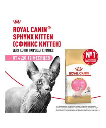 ROYAL CANIN SPhynx dry food for kittens Sphinx 0.4 kg 12 pcs - Buy Online on GoSupps.com
