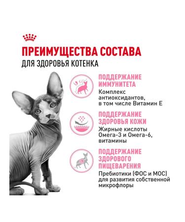 ROYAL CANIN SPhynx dry food for kittens Sphinx 0.4 kg 12 pcs - Buy Online on GoSupps.com