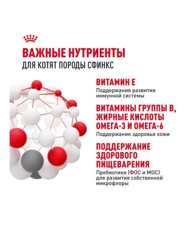 ROYAL CANIN SPhynx dry food for kittens Sphinx 0.4 kg 12 pcs - Buy Online on GoSupps.com