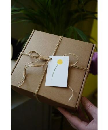 MELLOW YELLOW Dry milk 2pcs and bombs 2pcs - Buy Online on GoSupps.com