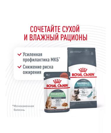 ROYAL CANIN Dry Hairball Care Feed for Cats Heirbull 0.4 kg 4 pcs - Buy Online on GoSupps.com
