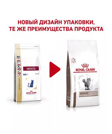 ROYAL CANIN Dry Hepatic HF26 food for cats hepatic 2 kg 6 pcs - Buy Online on GoSupps.com