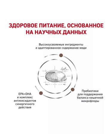 ROYAL CANIN Dry Hepatic HF26 food for cats hepatic 2 kg 6 pcs - Buy Online on GoSupps.com