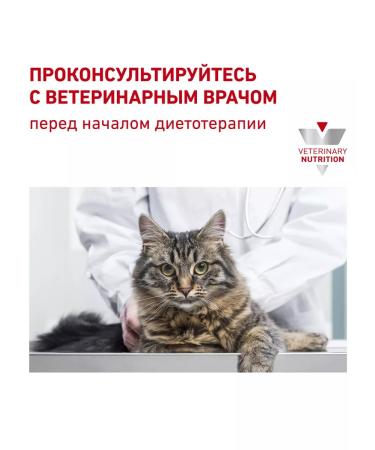 ROYAL CANIN Dry Hepatic HF26 food for cats hepatic 2 kg 6 pcs - Buy Online on GoSupps.com