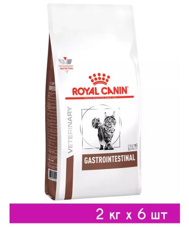 ROYAL CANIN GastroinTestinal food for cats gastrointestinal 2 kg 6 pcs