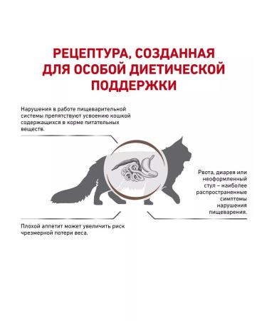 ROYAL CANIN GastroinTestinal food for cats gastrointestinal 2 kg 6 pcs - Buy Online on GoSupps.com