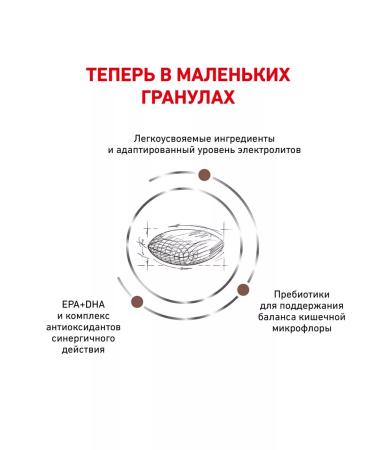 ROYAL CANIN Dry gastrointestinal low fat food of small dogs 1 kg 2 pcs - Buy Online on GoSupps.com