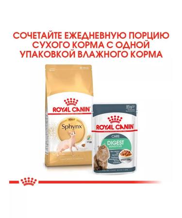 ROYAL CANIN SPHYNX Adult Feed for cats Sphinx 0.4 kg 2 pcs - Buy Online on GoSupps.com