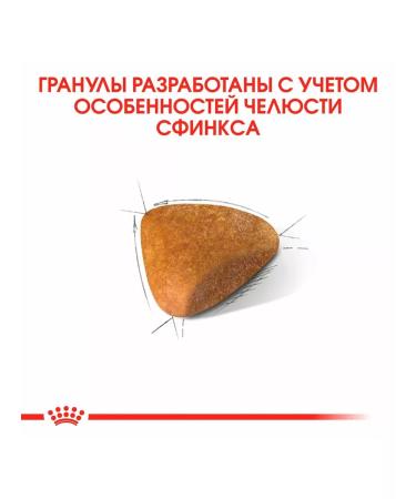ROYAL CANIN SPHYNX Adult Feed for cats Sphinx 0.4 kg 2 pcs - Buy Online on GoSupps.com