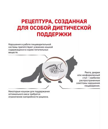 ROYAL CANIN GastroinTestinal Moderate Calorie food for cats 2 kg 6 pcs - Buy Online on GoSupps.com