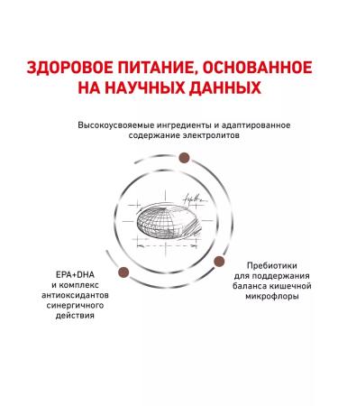 ROYAL CANIN GastroinTestinal Moderate Calorie food for cats 2 kg 6 pcs - Buy Online on GoSupps.com