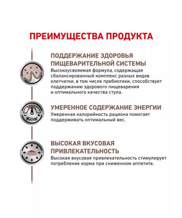 ROYAL CANIN GastroinTestinal Moderate Calorie food for cats 2 kg 6 pcs - Buy Online on GoSupps.com