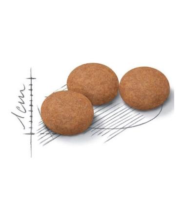 ROYAL CANIN Dry food for sterilized cats 12+ years 2 kg 6 pcs - Buy Online on GoSupps.com