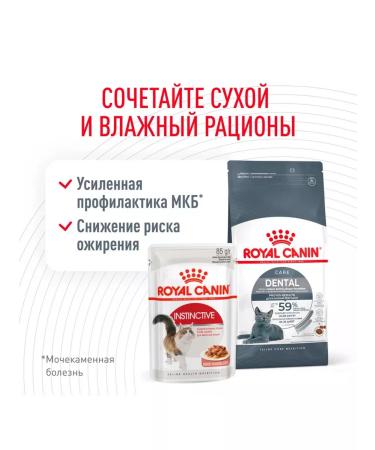 ROYAL CANIN Dry dental Care food for dental cats 0.4 kg 2 pcs - Buy Online on GoSupps.com