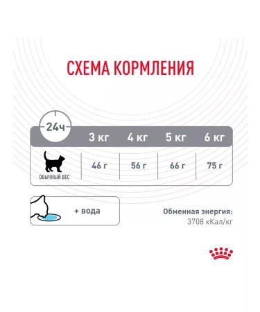 ROYAL CANIN Dry dental Care food for dental cats 0.4 kg 2 pcs - Buy Online on GoSupps.com