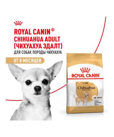 ROYAL CANIN Dry food chihuahua adult for dogs Chihuahua 3 kg 2 pcs - Buy Online on GoSupps.com