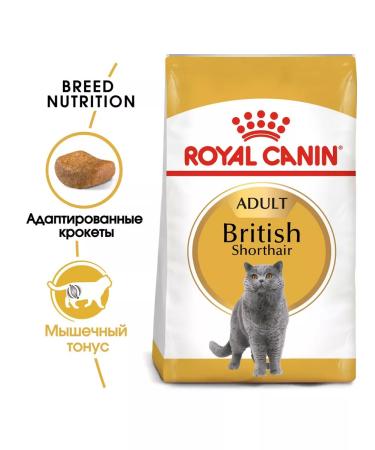 ROYAL CANIN Dry food British shorthair for cats British 0.4 kg 2pcs - Buy Online on GoSupps.com