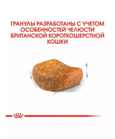 ROYAL CANIN Dry food British shorthair for cats British 0.4 kg 2pcs - Buy Online on GoSupps.com